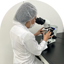 Conducting safety checks via quality inspection