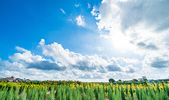Environmental Management System